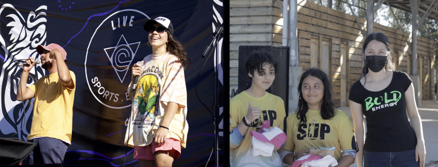 Descripción de la imagen